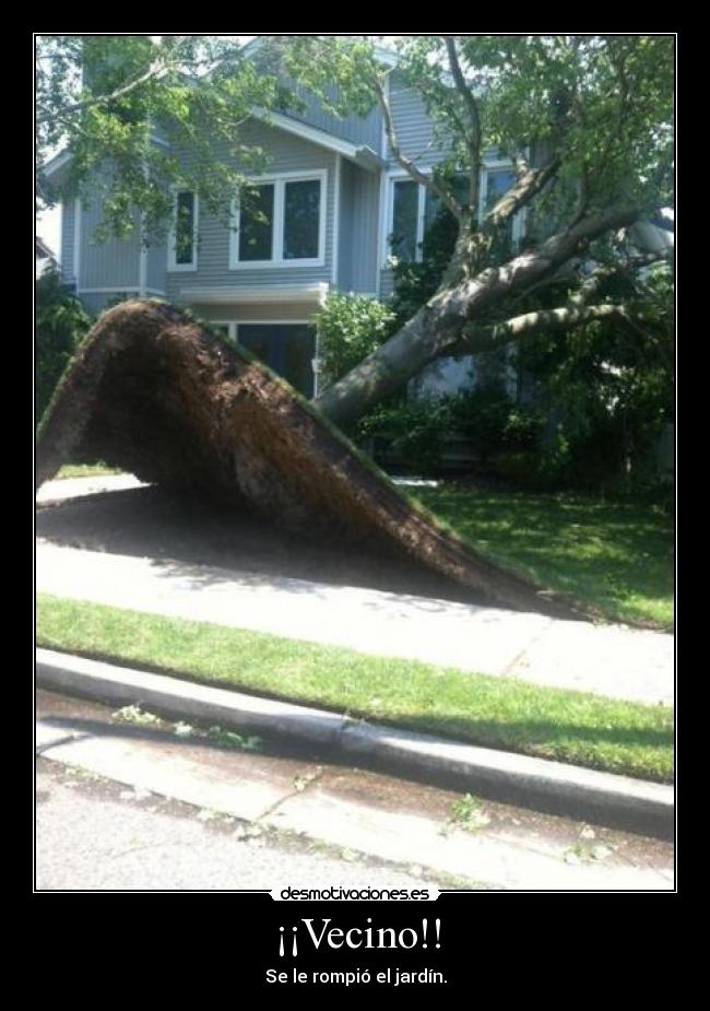 ¡¡Vecino!! - Se le rompió el jardín.