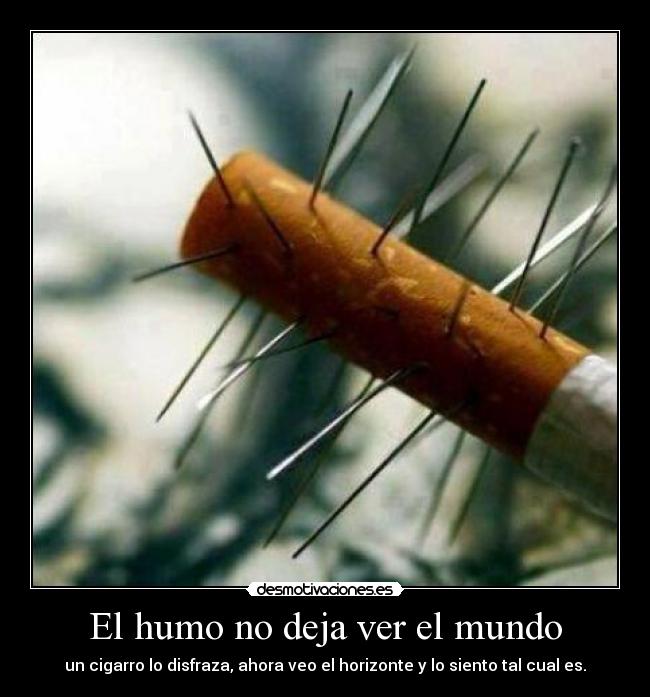 carteles mundo verdads desmotivaciones