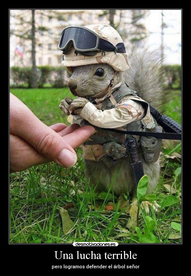 Una lucha terrible - pero logramos defender el árbol señor