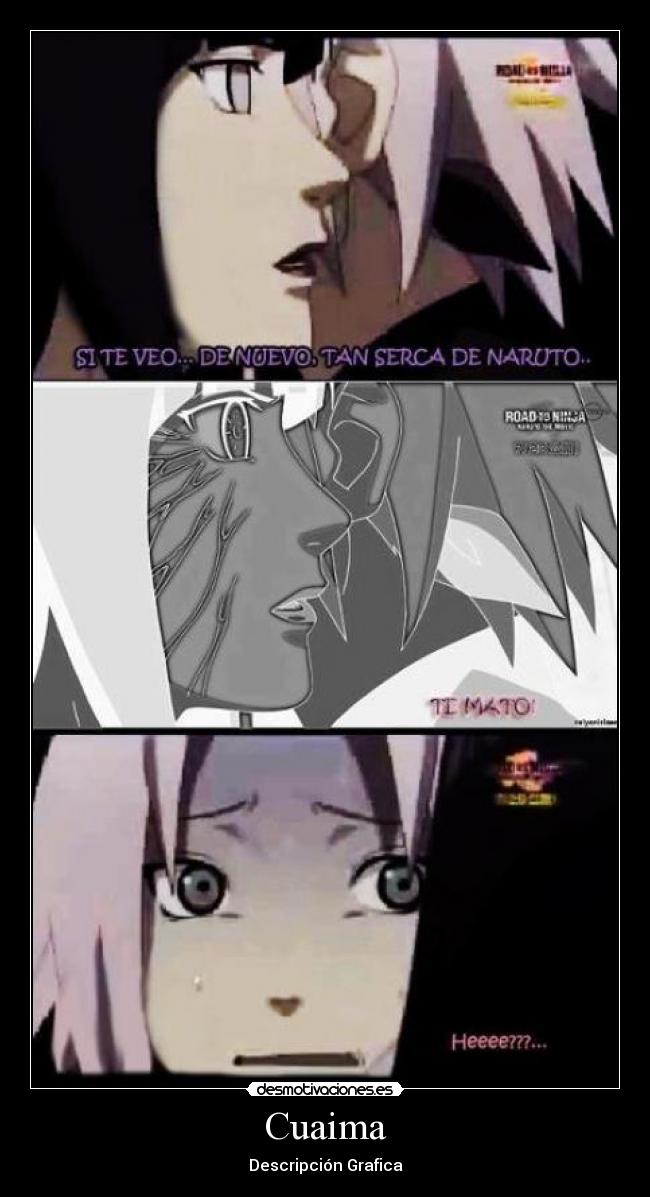 Cuaima - Descripción Grafica