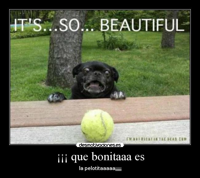 ¡¡¡ que bonitaaa es - la pelotitaaaaa¡¡¡¡¡