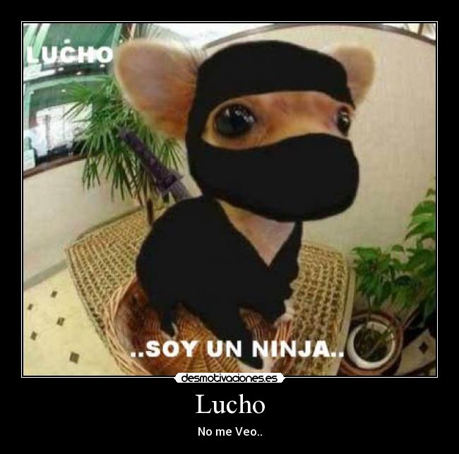 Lucho - 
