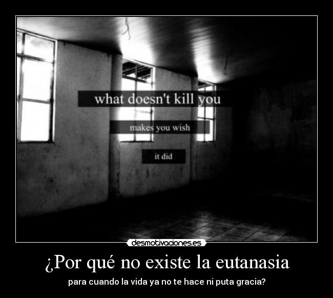 carteles toxicemotions returns desde kinderhouse clanmazodeflygon rapsusklei cartel 700 paso dedicatorias desmotivaciones