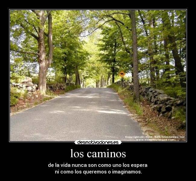 los caminos -
