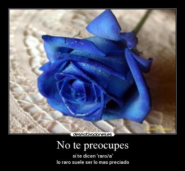 No te preocupes -