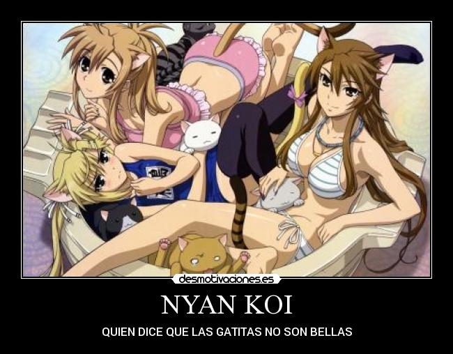 NYAN KOI - QUIEN DICE QUE LAS GATITAS NO SON BELLAS