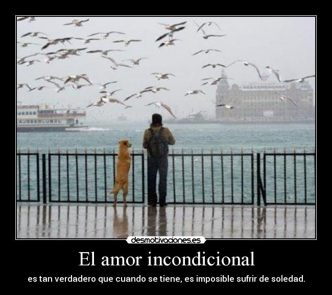 carteles amor amor incondicional sufrir soledad desmotivaciones