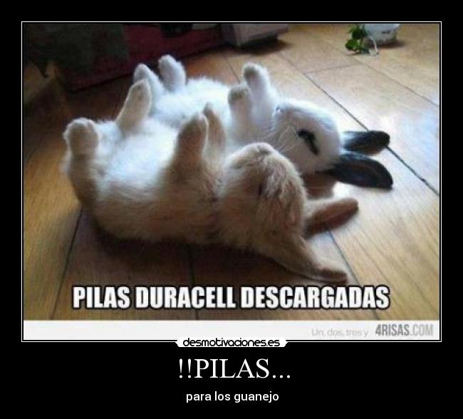 carteles bboytecos desmotivaciones