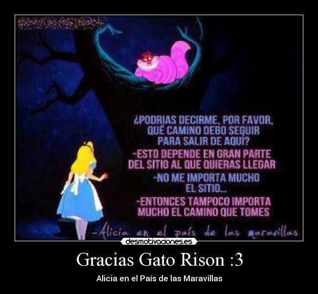 Gracias Gato Rison :3 - 