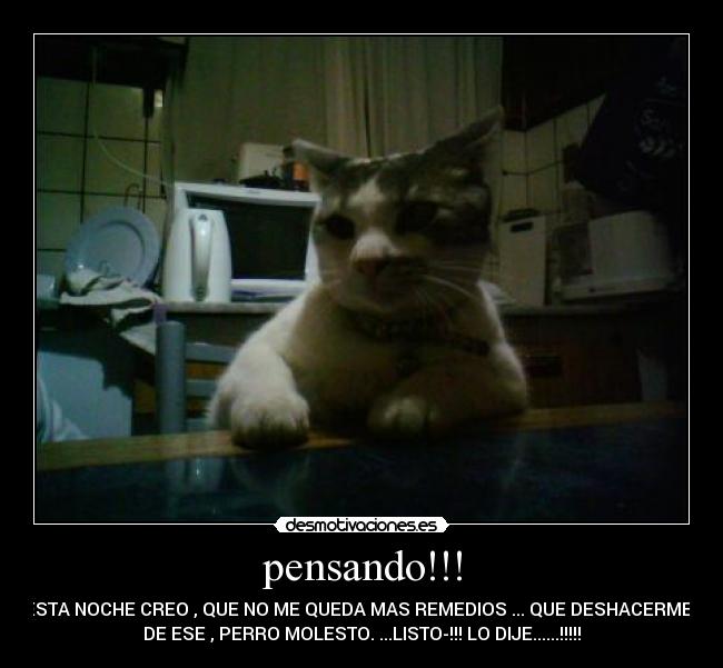 pensando!!! - ESTA NOCHE CREO , QUE NO ME QUEDA MAS REMEDIOS ... QUE DESHACERME..
DE ESE , PERRO MOLESTO. ...LISTO-!!! LO DIJE......!!!!!