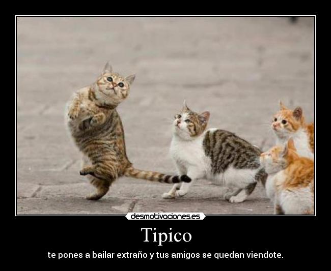 Tipico -