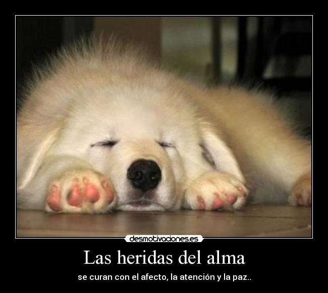 Las heridas del alma - se curan con el afecto, la atención y la paz..