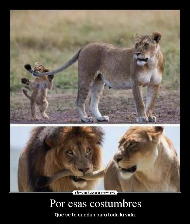 Por esas costumbres -