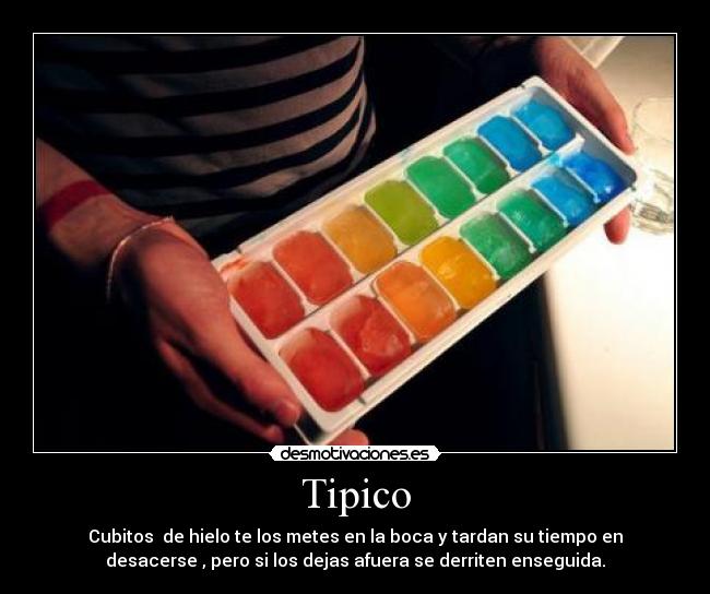 Tipico - 