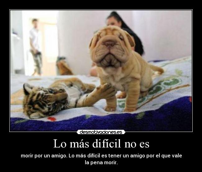 Lo más difícil no es - morir por un amigo. Lo más difícil es tener un amigo por el que vale la pena morir.