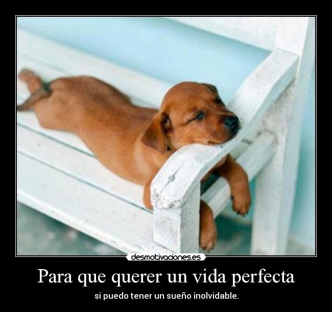 Para que querer un vida perfecta - si puedo tener un sueño inolvidable.