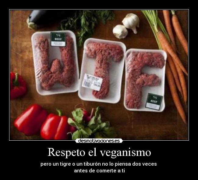 Respeto el veganismo - pero un tigre o un tiburón no lo piensa dos veces
antes de comerte a ti