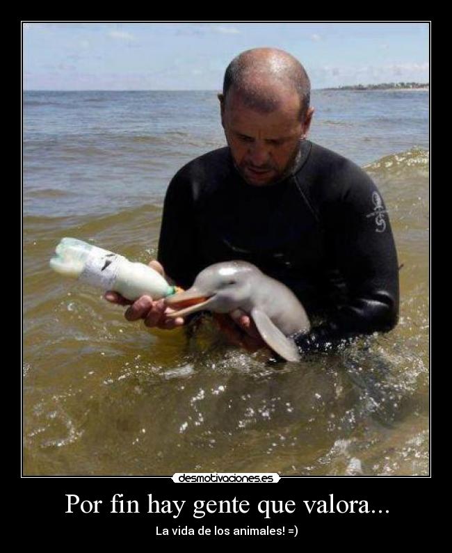 Por fin hay gente que valora... - La vida de los animales! =)