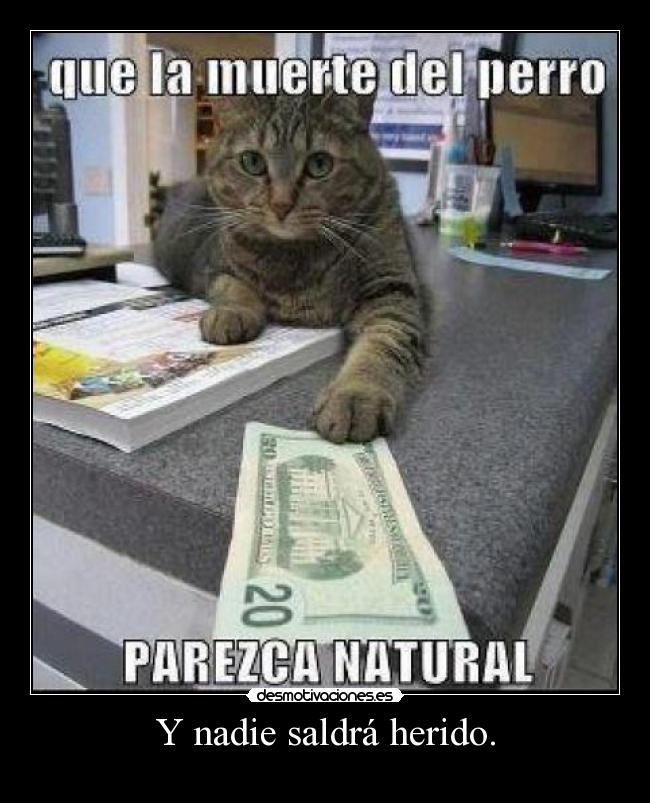 Y nadie saldrá herido. - 