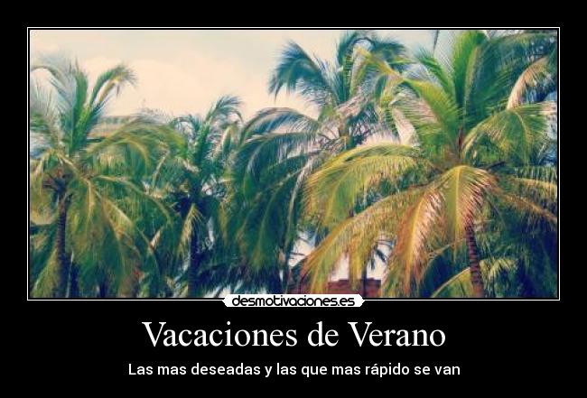 Vacaciones de Verano -