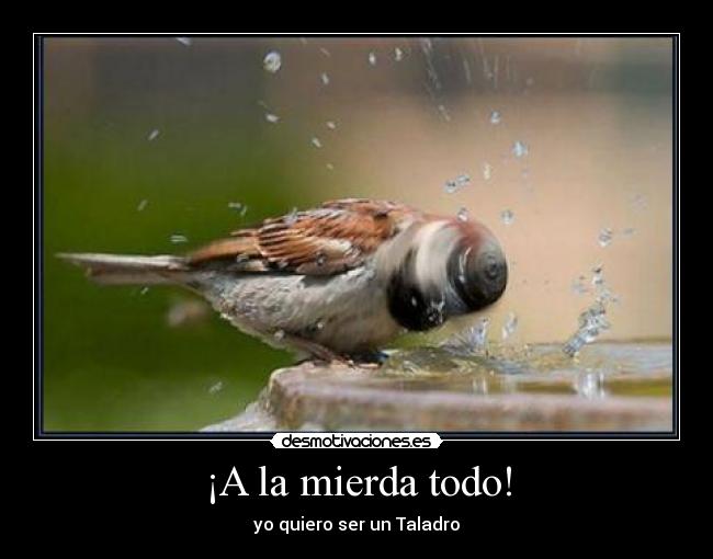 ¡A la mierda todo! - yo quiero ser un Taladro