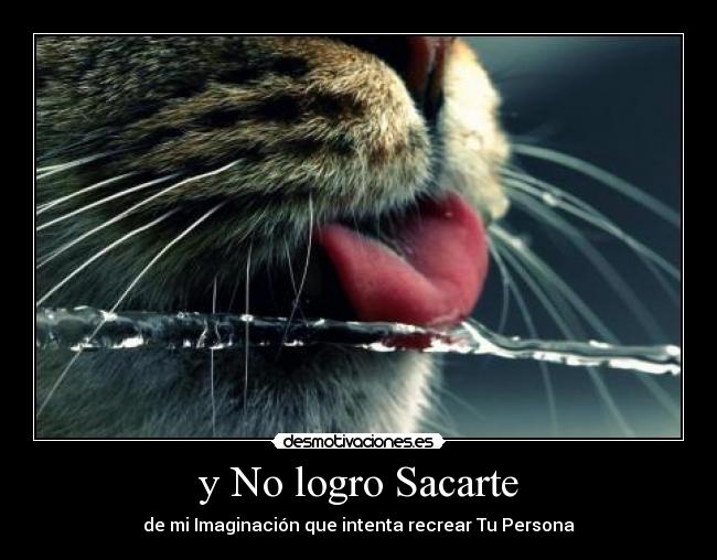 y No logro Sacarte - de mi Imaginación que intenta recrear Tu Persona