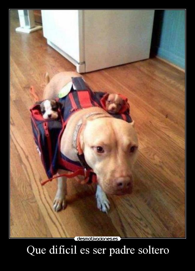 Que dificil es ser padre soltero -