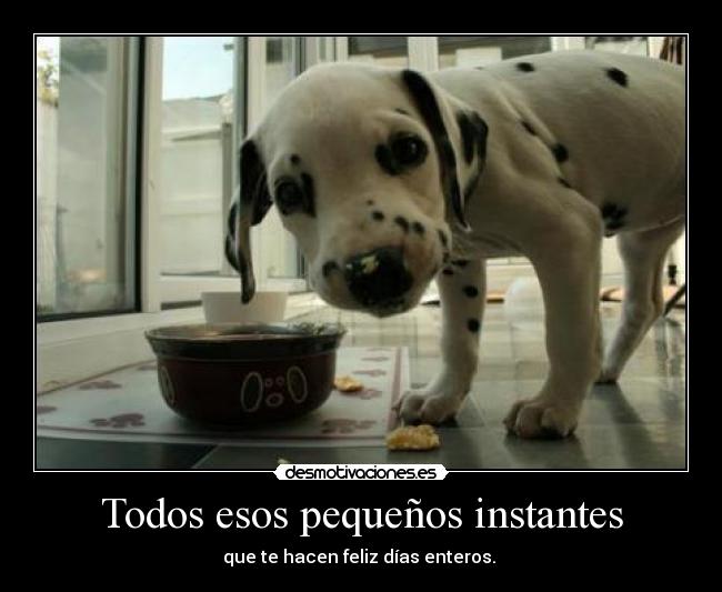 Todos esos pequeños instantes - que te hacen feliz días enteros. ♥