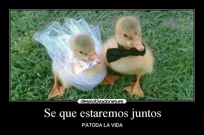 Se que estaremos juntos -