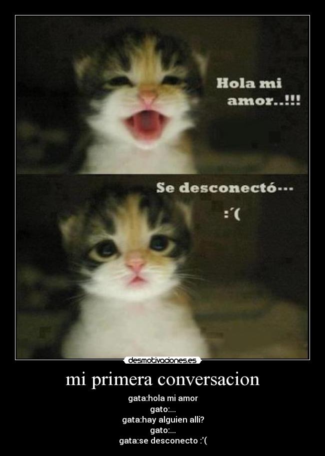 mi primera conversacion - gata:hola mi amor
gato:...
gata:hay alguien alli?
gato:...
gata:se desconecto :(