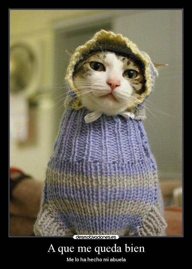 A que me queda bien - Me lo ha hecho mi abuela