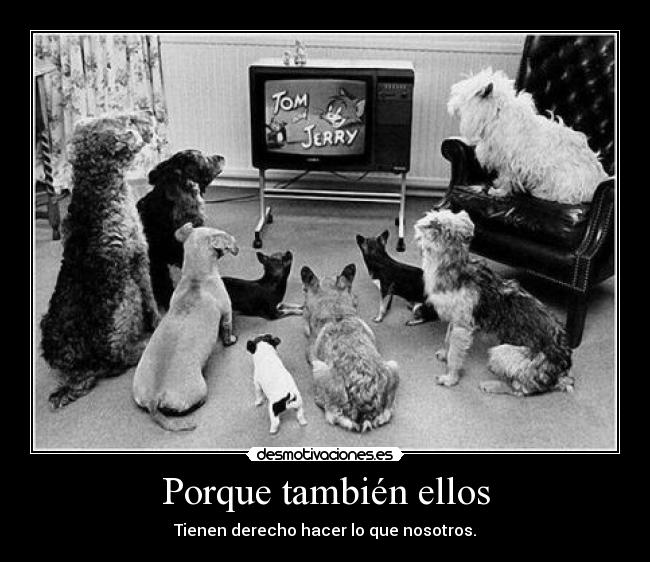 Porque también ellos - Tienen derecho hacer lo que nosotros.