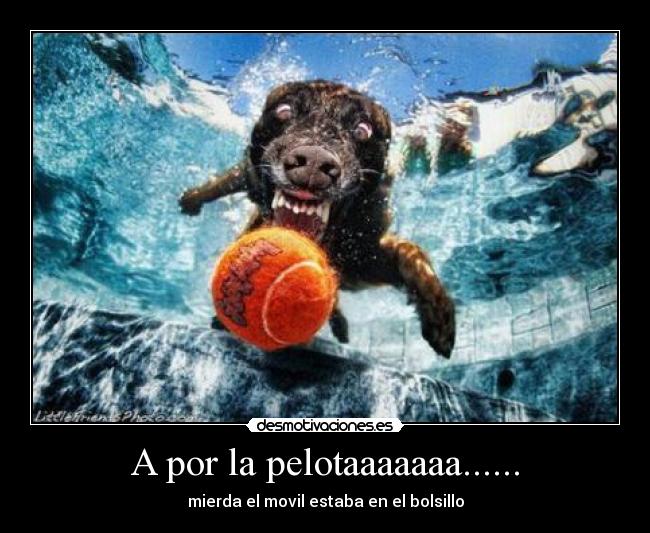 A por la pelotaaaaaaa...... -