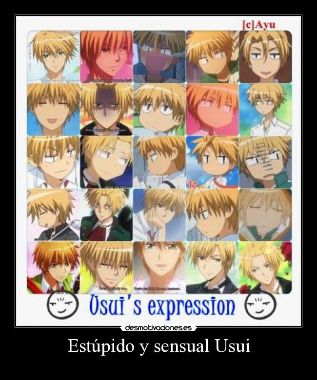 Estúpido y sensual Usui -