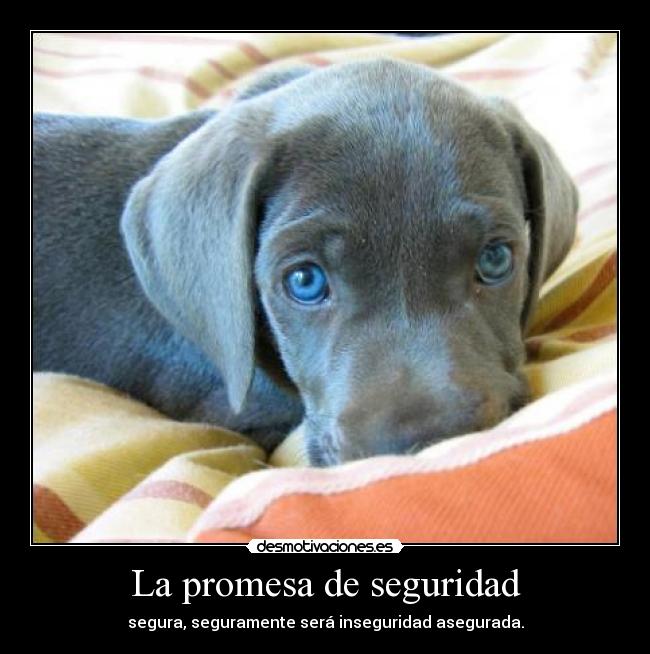 La promesa de seguridad - 