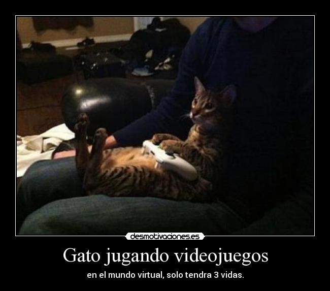 Gato jugando videojuegos -