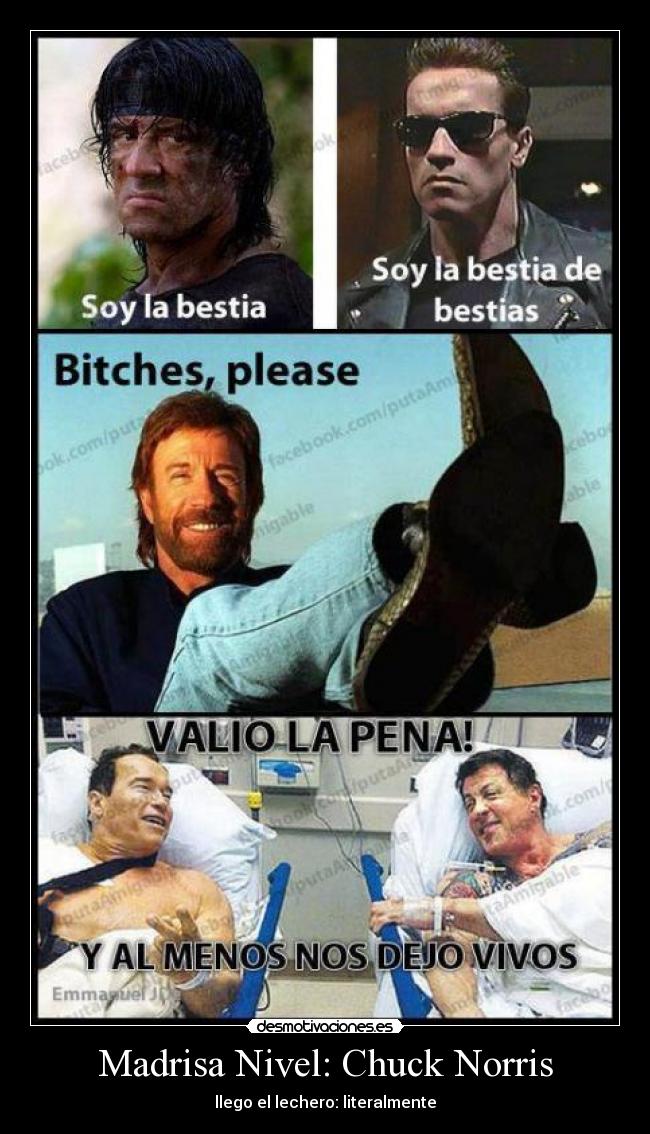 Madrisa Nivel: Chuck Norris - 