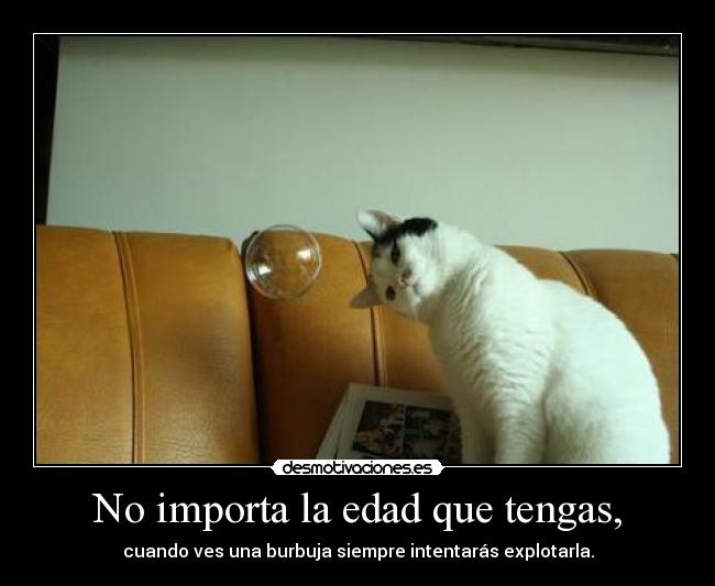 carteles papapitufo mete dedito mucho gustito desmotivaciones