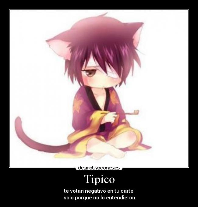 Tipico - te votan negativo en tu cartel
solo porque no lo entendieron