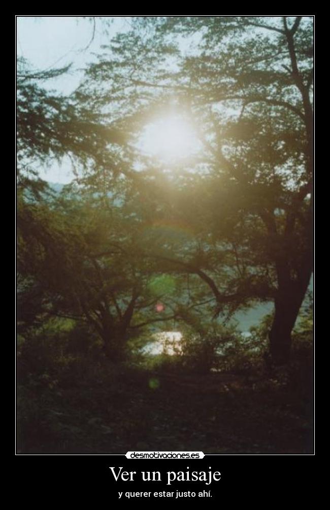 Ver un paisaje - 