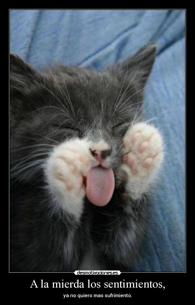 A la mierda los sentimientos, -