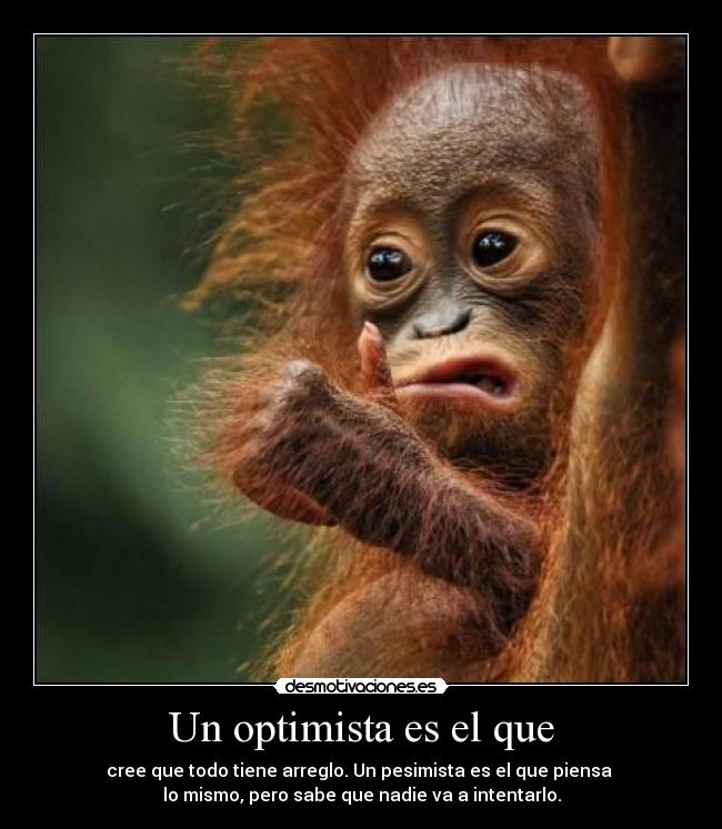 Un optimista es el que - cree que todo tiene arreglo. Un pesimista es el que piensa
lo mismo, pero sabe que nadie va a intentarlo.