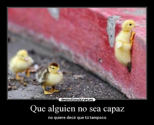 Que alguien no sea capaz - 
