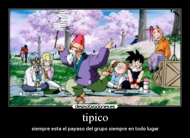 tipico - 