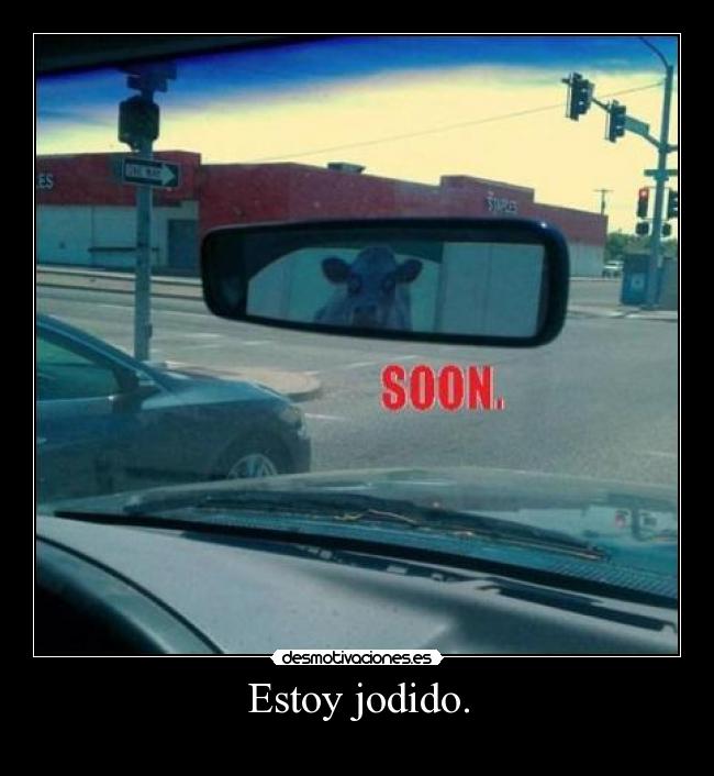 Estoy jodido. - 
