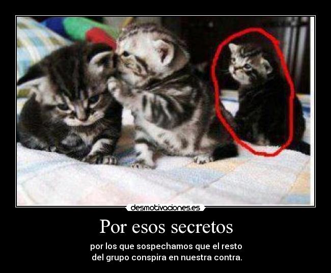 carteles conspiracion secretos desmotivaciones