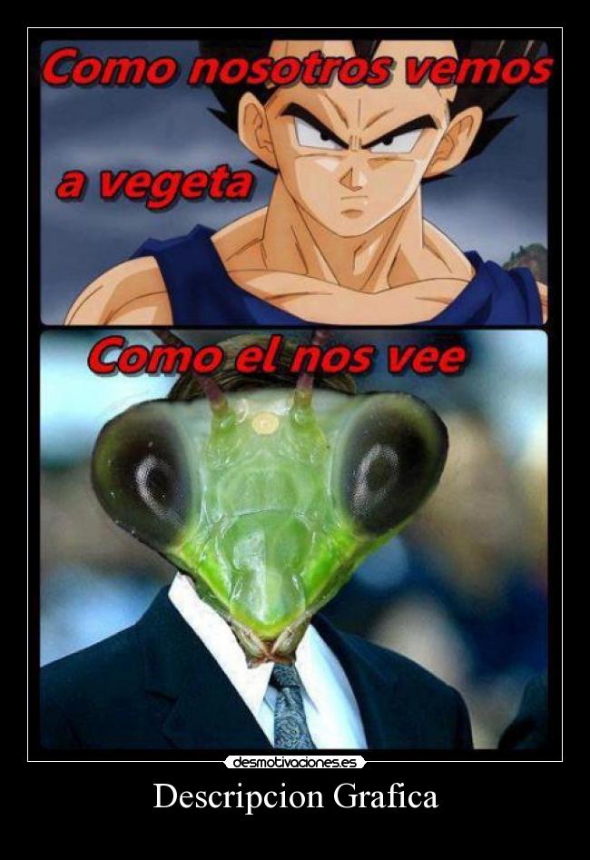 Descripcion Grafica - 