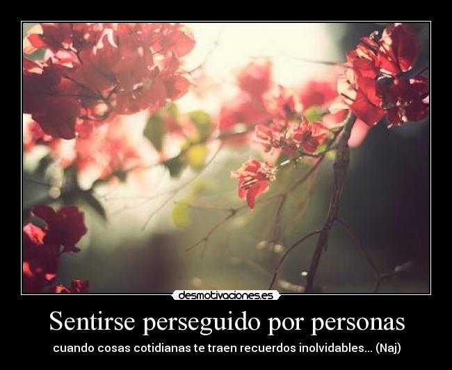 Sentirse perseguido por personas - 