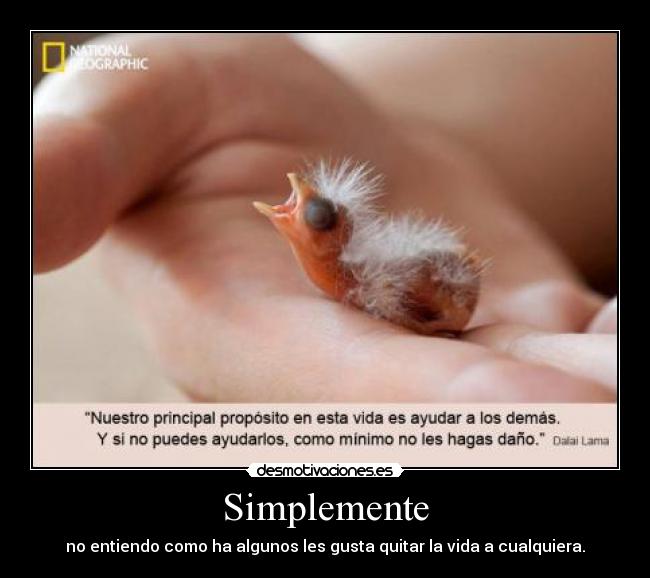Simplemente - no entiendo como ha algunos les gusta quitar la vida a cualquiera.