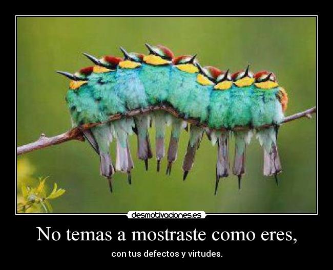 No temas a mostraste como eres, - con tus defectos y virtudes.